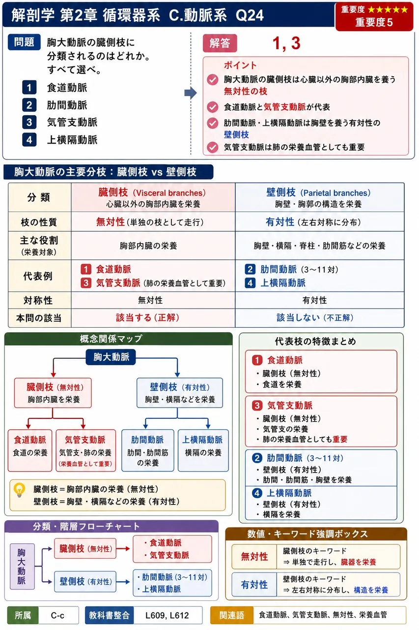 胸大動脈の臓側枝に分類されるのはどれか。すべて選べ。 解説図