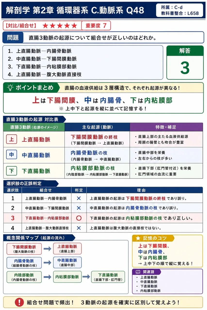 直腸3動脈の起源について組合せが正しいのはどれか。 解説図