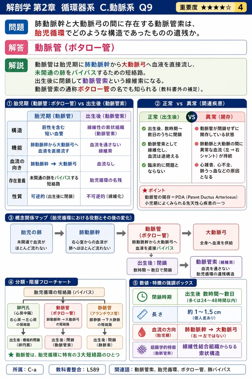 左心房に注ぐ静脈はどれか。 解説図