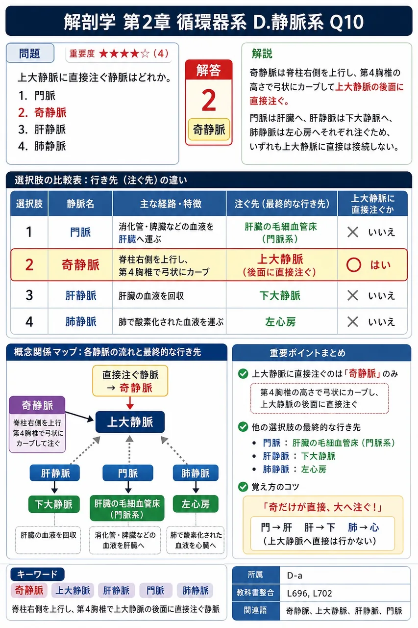 上大静脈に直接注ぐ静脈はどれか。 解説図