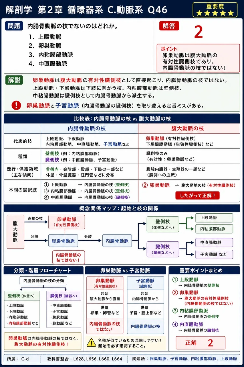 右心房に開口しない静脈はどれか。 解説図