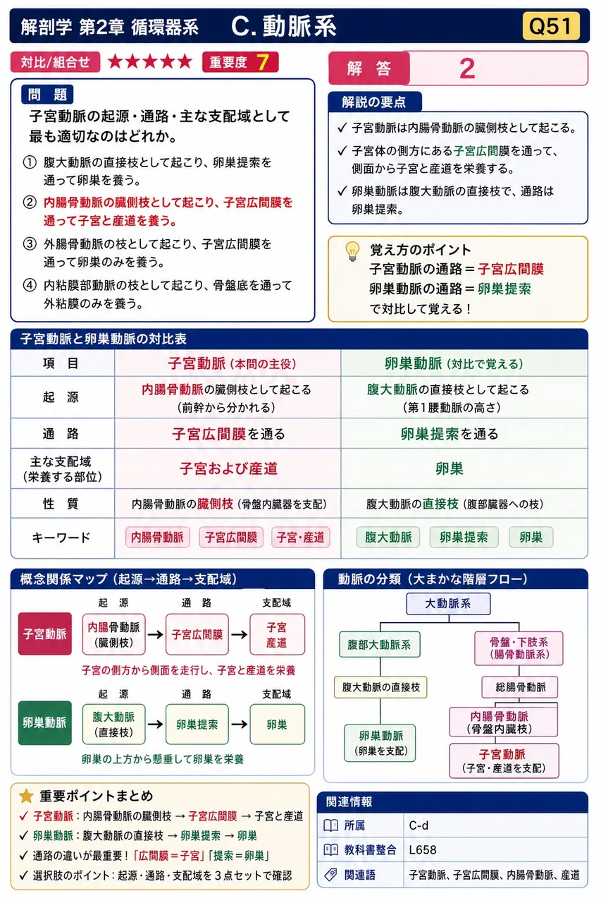 下大静脈は何という静脈の合流によって、第何腰椎の前で始まるか。 解説図