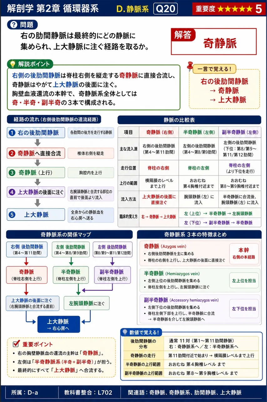 次のうち門脈系に含まれない臓器の静脈はどれか。 解説図