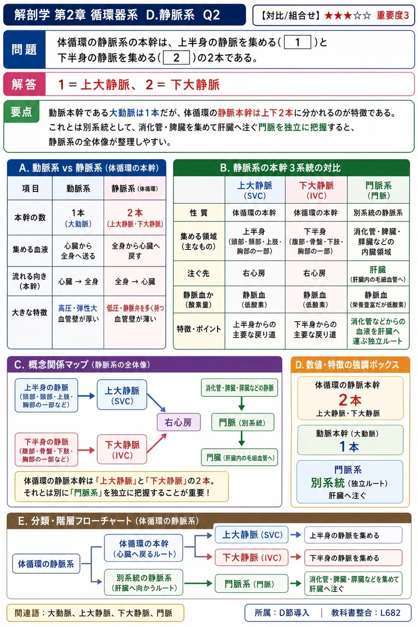 下肢静脈瘤の好発部位はどの静脈系か。 解説図