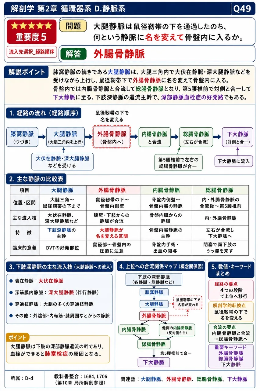 胎児で臍静脈血の本幹を肝臓を素通りさせて下大静脈に直接注ぐバイパス血管を何というか。 解説図
