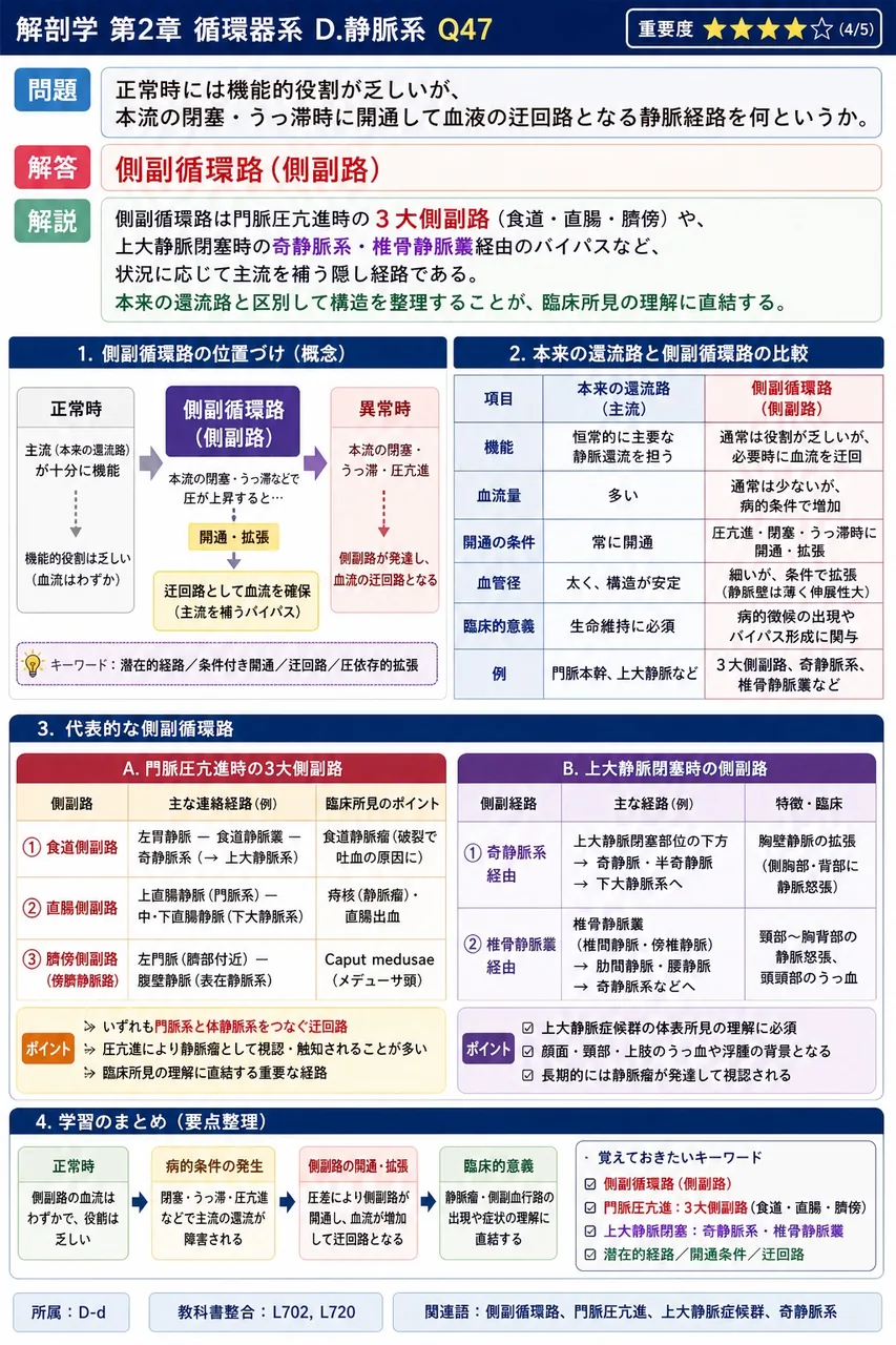 動脈管の機能と病態について誤っているのはどれか。 解説図