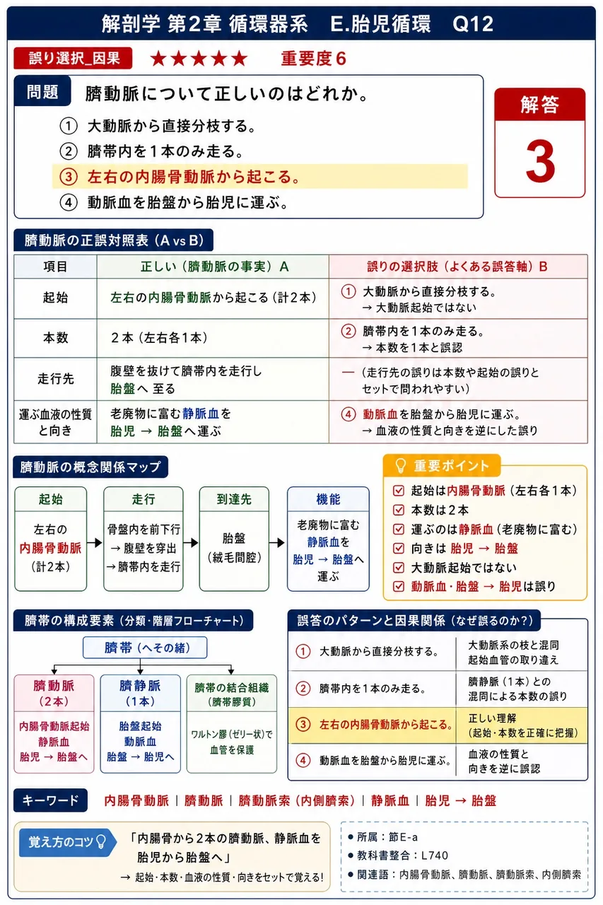 胎児循環で肝鎌状間膜の遊離縁内を通るのはどれか。 解説図