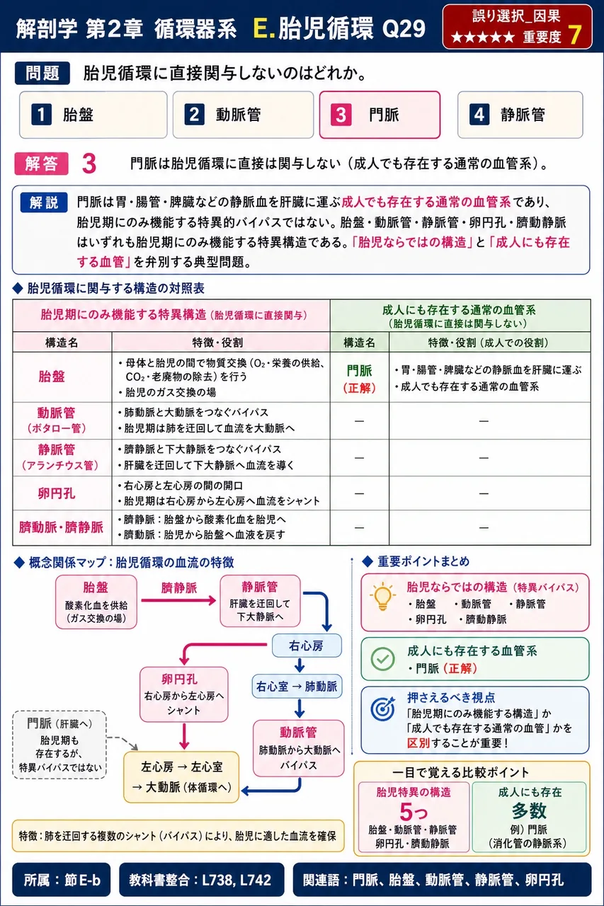 胎児循環に直接関与しないのはどれか。 解説図