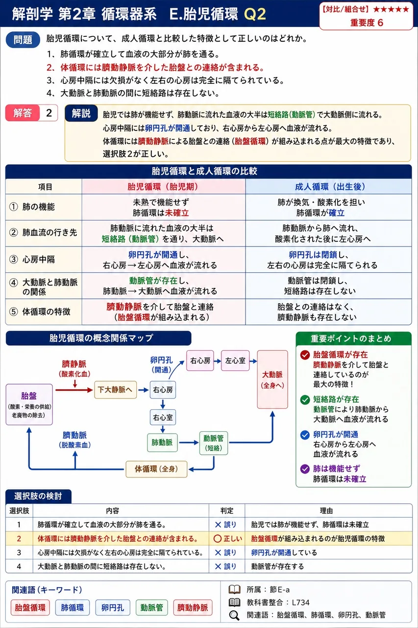 胎児の卵円孔は出生後にどのような構造になるか。 解説図