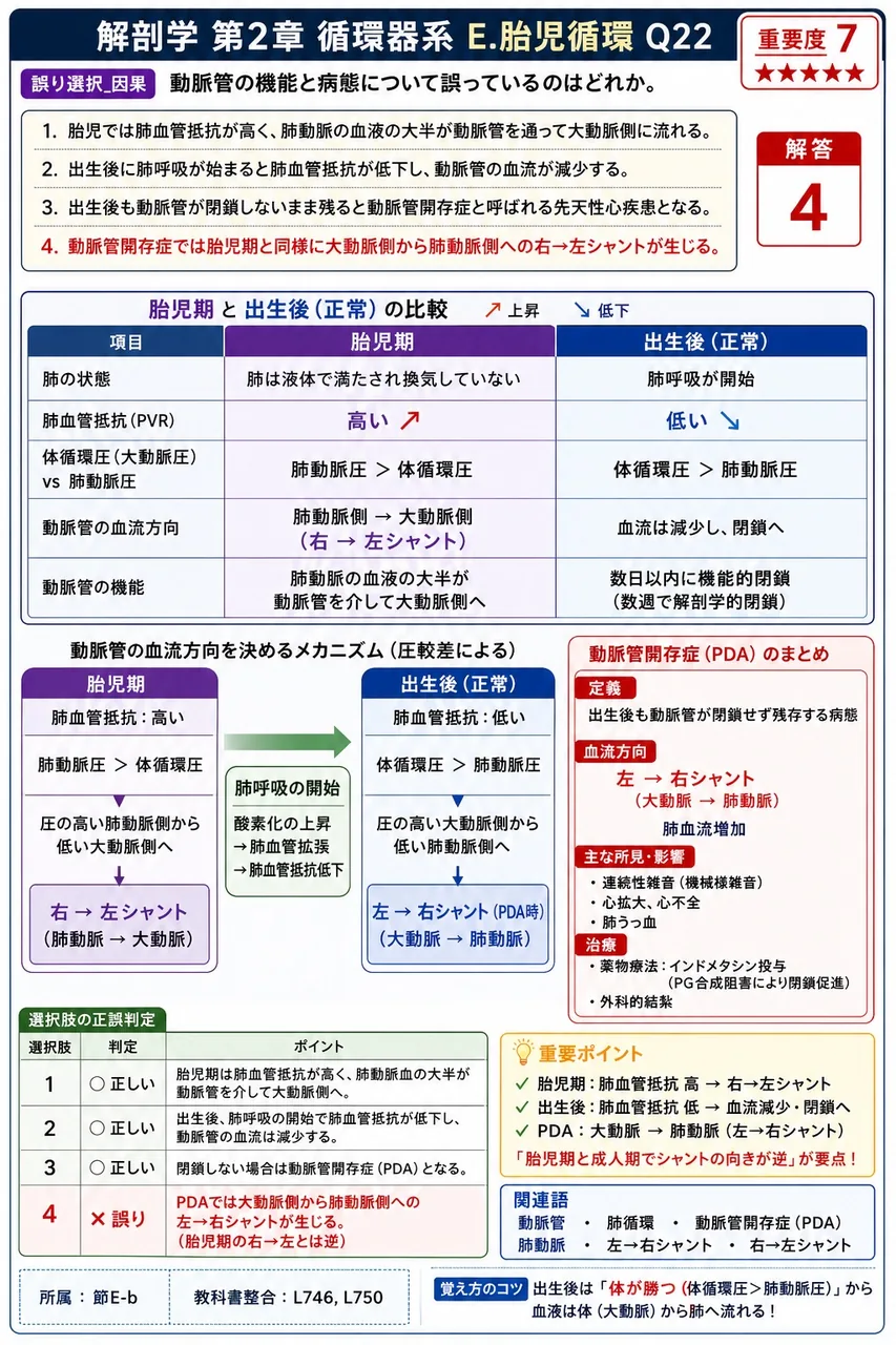 胎児循環から成人型循環への切り替わりの最初のきっかけとなる現象は何か。 解説図