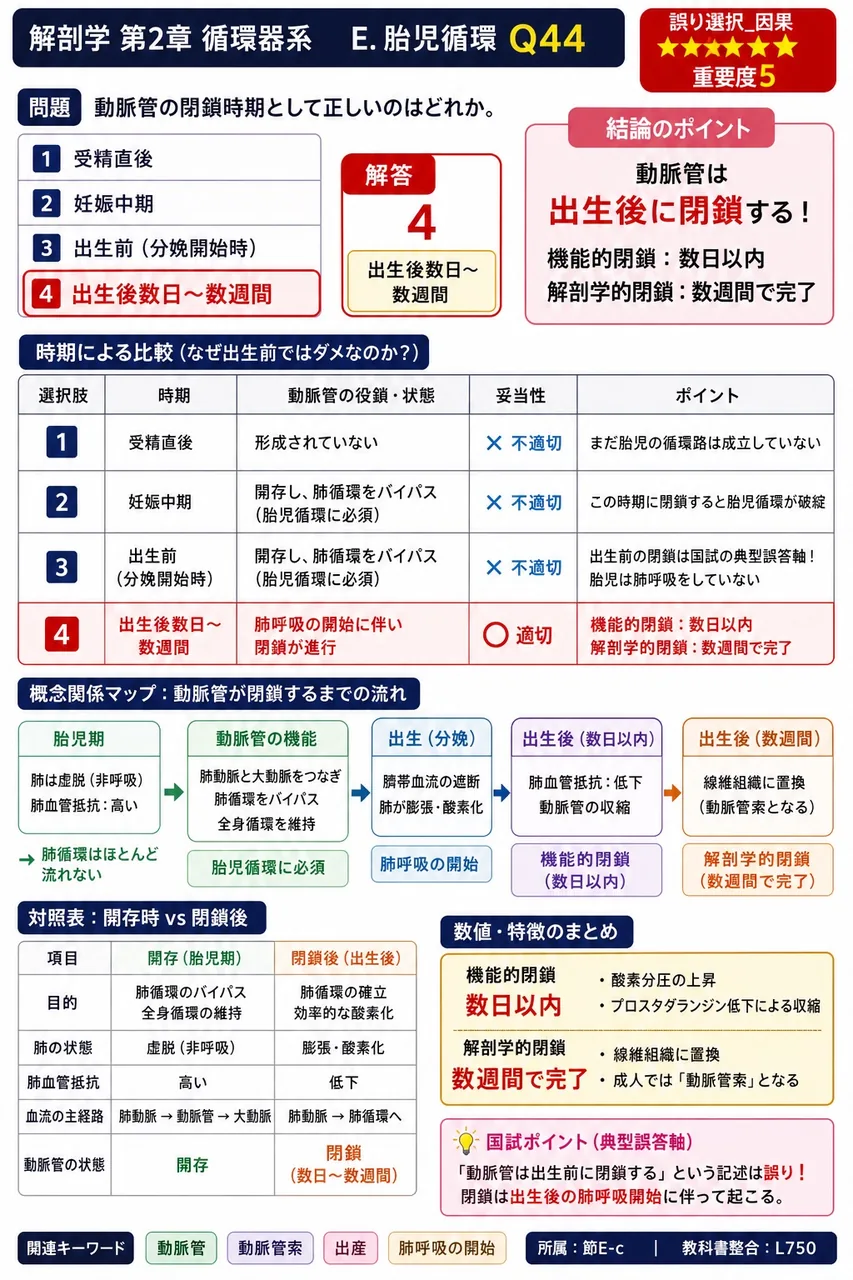 下半身および腸管からのリンパが集まる本幹について正しい組合せはどれか。 解説図