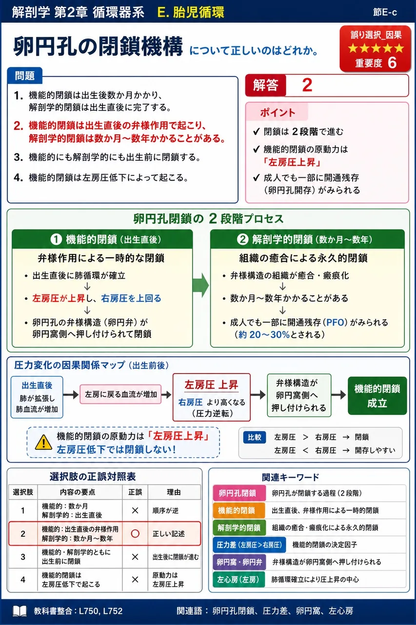 胸管の損傷で生じうる病態として最も関連が深いのはどれか。 解説図