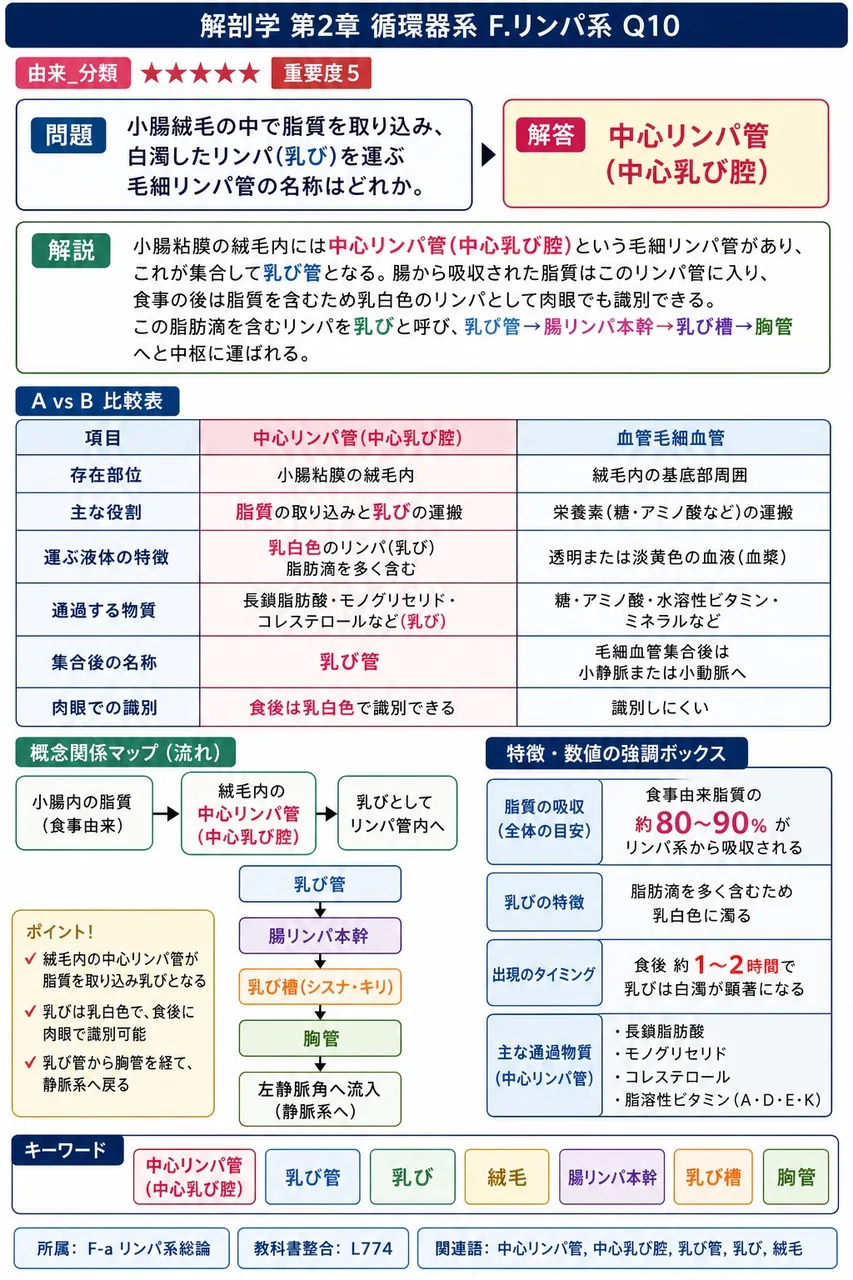 リンパ節やリンパ系器官の内部にあり、Bリンパ球が分裂・増生する場として中央に「胚中心」を持つ小結節を何というか。 解説図