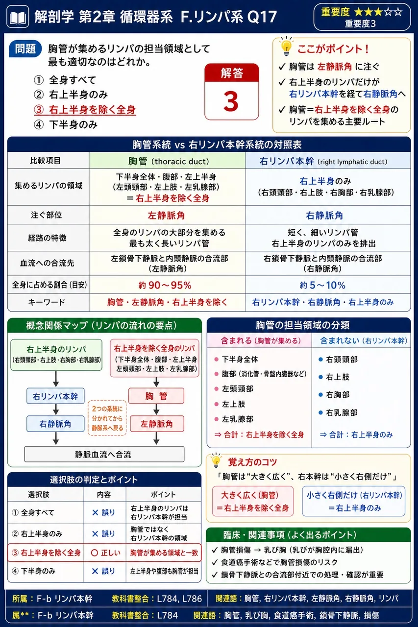 脾動脈の起始動脈として正しいのはどれか。 解説図
