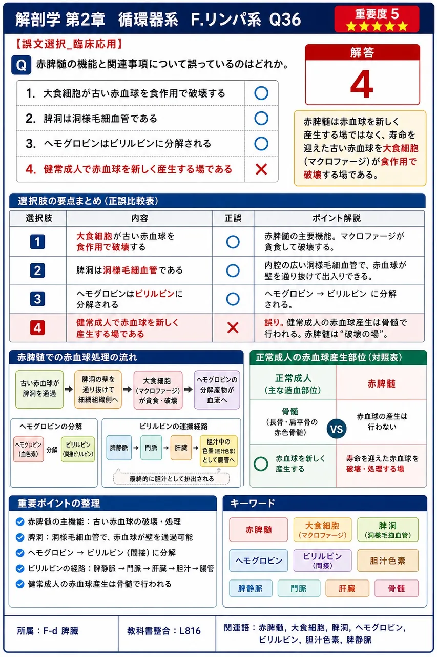 からだの各部から流出したリンパ管が、必ずいずれか経由する一定の領域のリンパ節を総称して何というか。 解説図