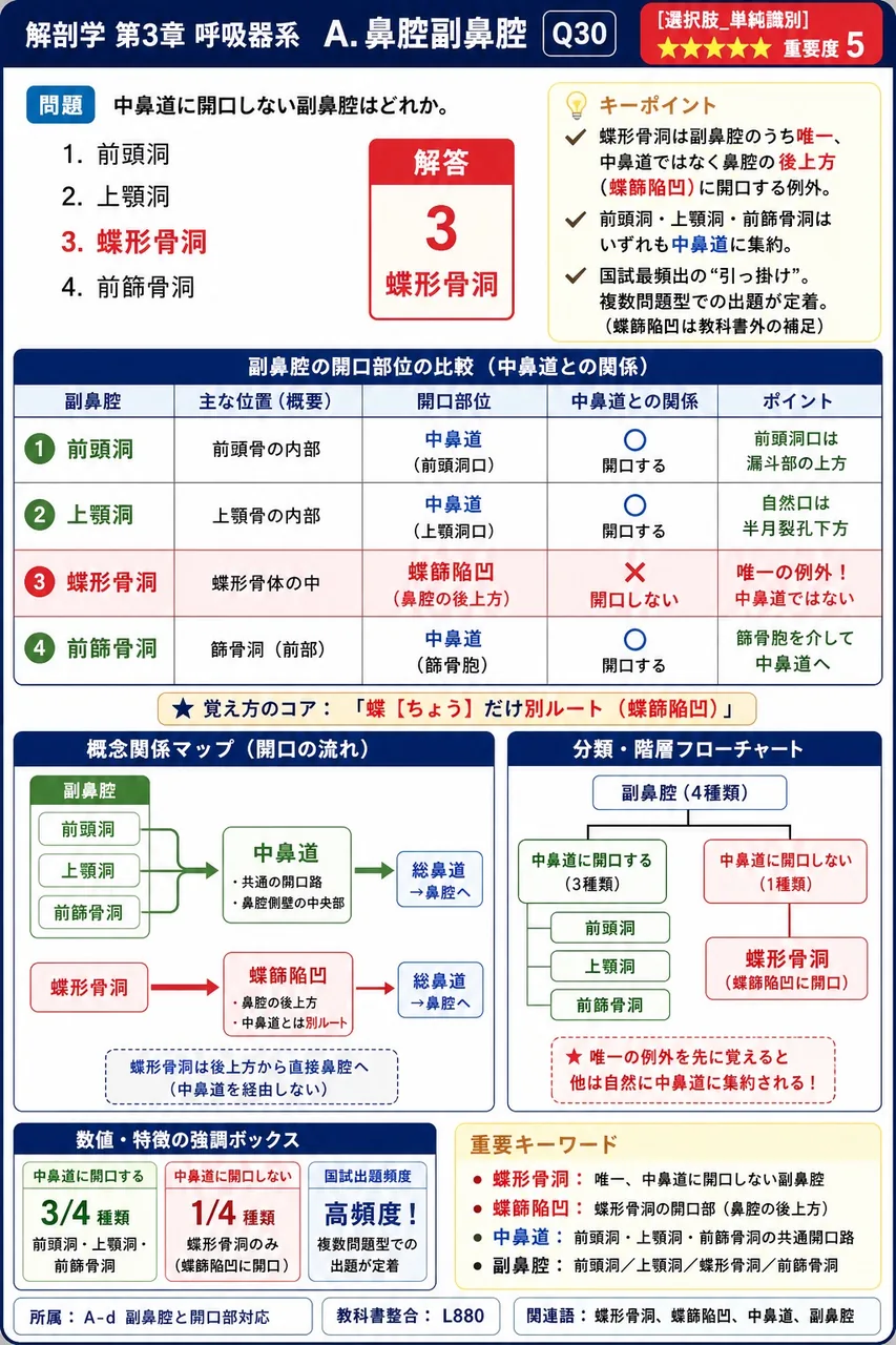 鼻腔の外側壁にひさし状に張り出す鼻甲介は、左右合わせて何個存在するか。 解説図