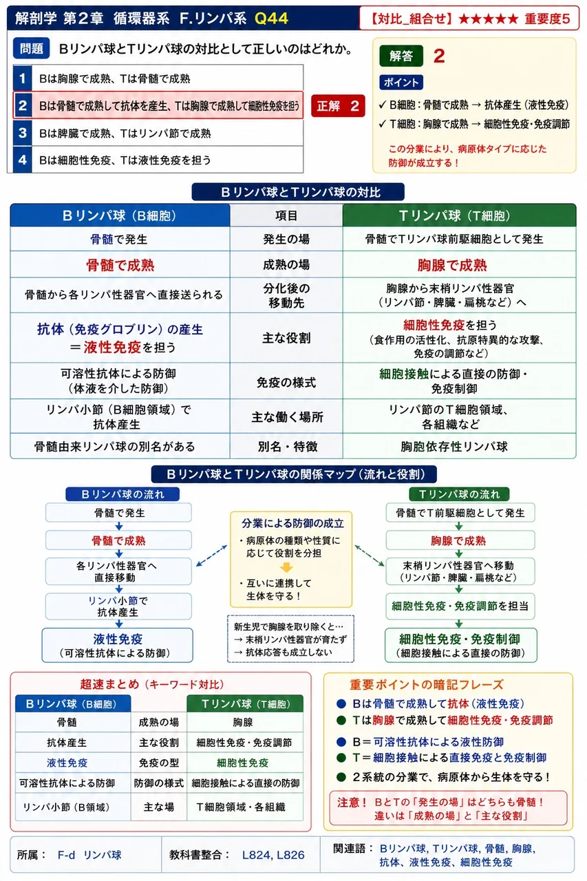 鼻甲介と、その下方につくられる鼻道の組合せとして誤っているのはどれか。 解説図