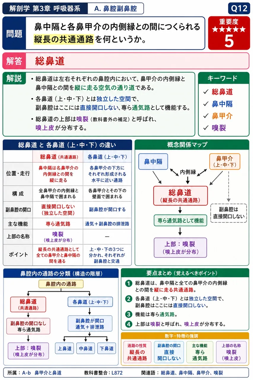 鼻中隔と各鼻甲介の内側縁との間につくられる縦長の共通通路を何というか。 解説図
