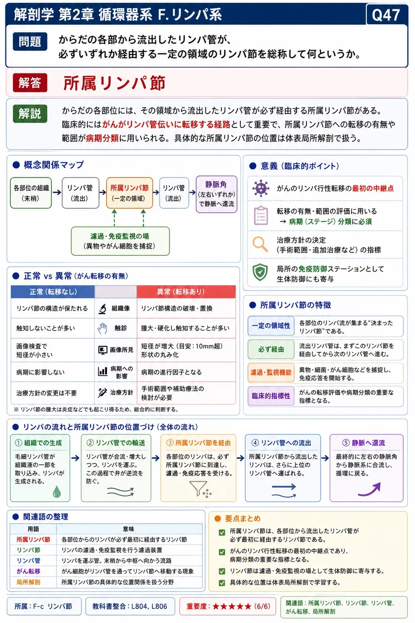 鼻腔の3区分と上皮の組合せで正しいのはどれか。 解説図