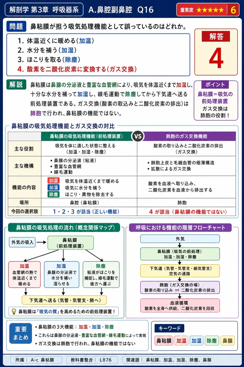 前頭洞が開口する部位として正しいのはどれか。 解説図