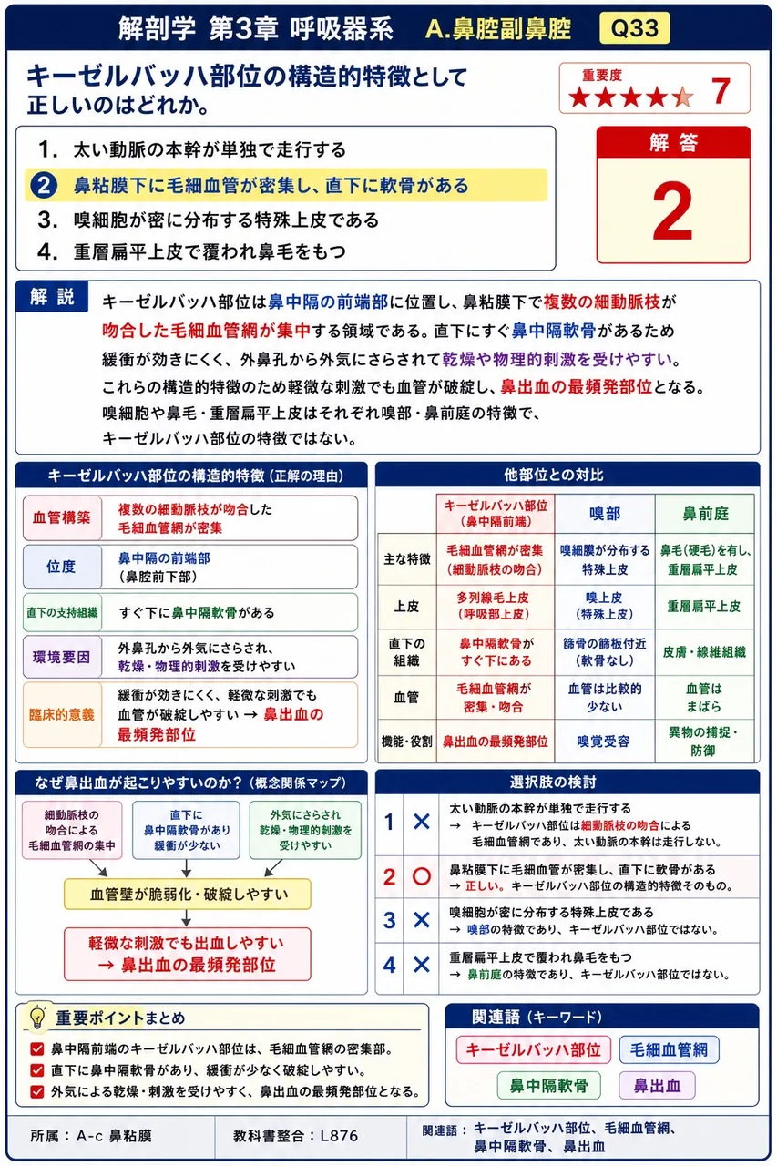 甲状軟骨は前面を( )に覆う形をした喉頭軟骨で、左右の板が前正中で合わさり一つの軟骨を形成する。 解説図