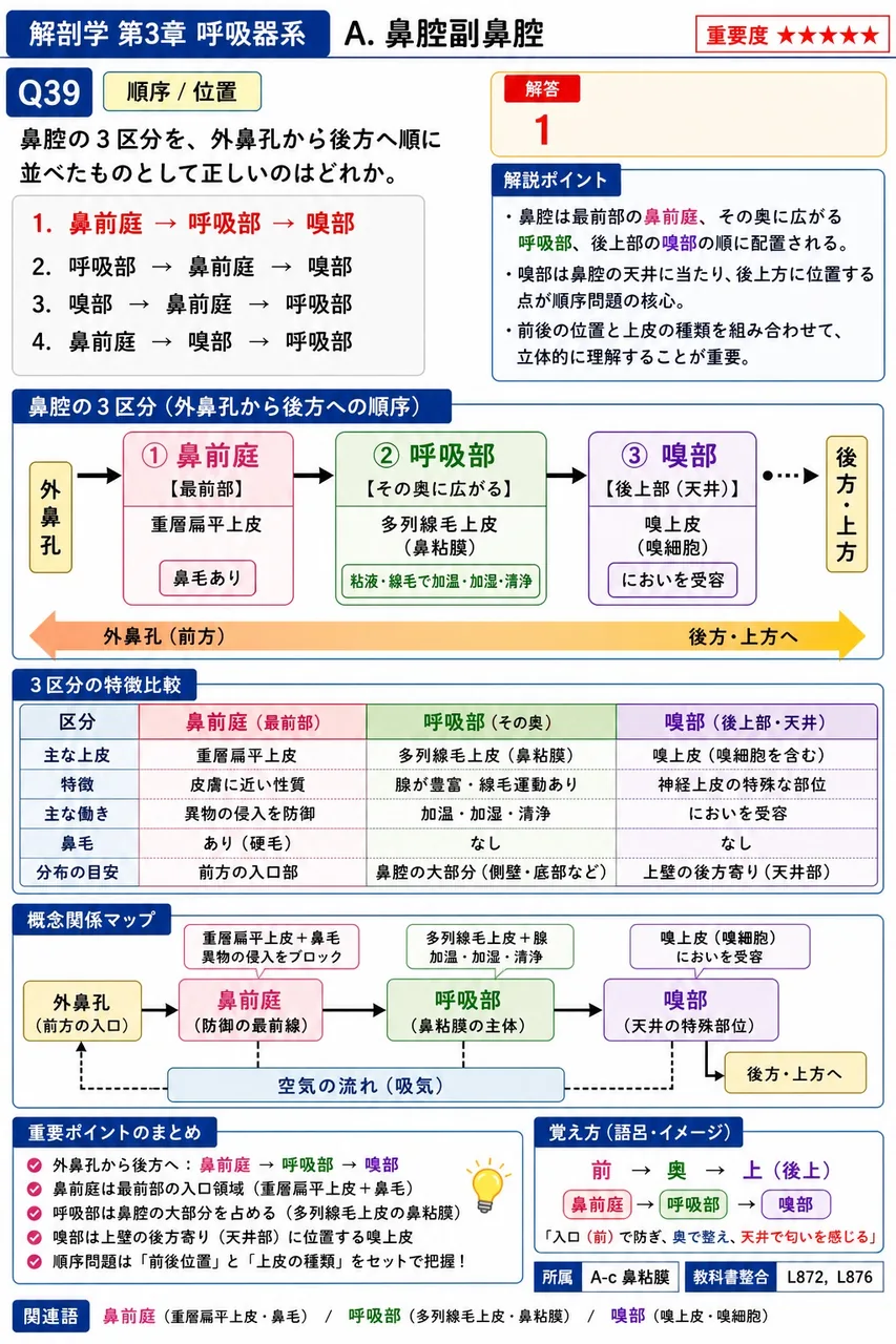 喉頭軟骨で対(左右一対)をなすのはどれか。 解説図