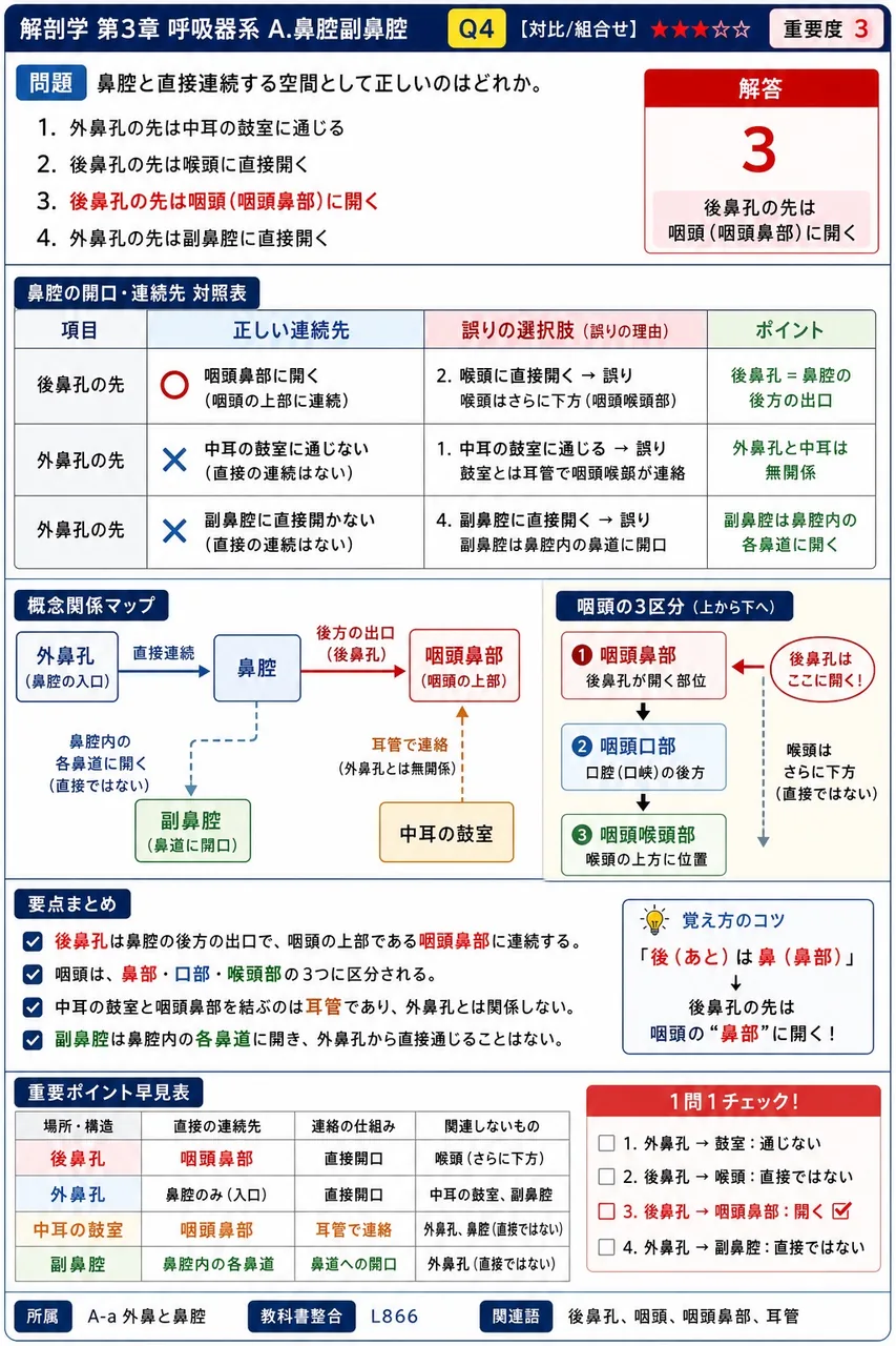 喉頭軟骨のうち不対(単一)に分類されるのはどれか。 解説図