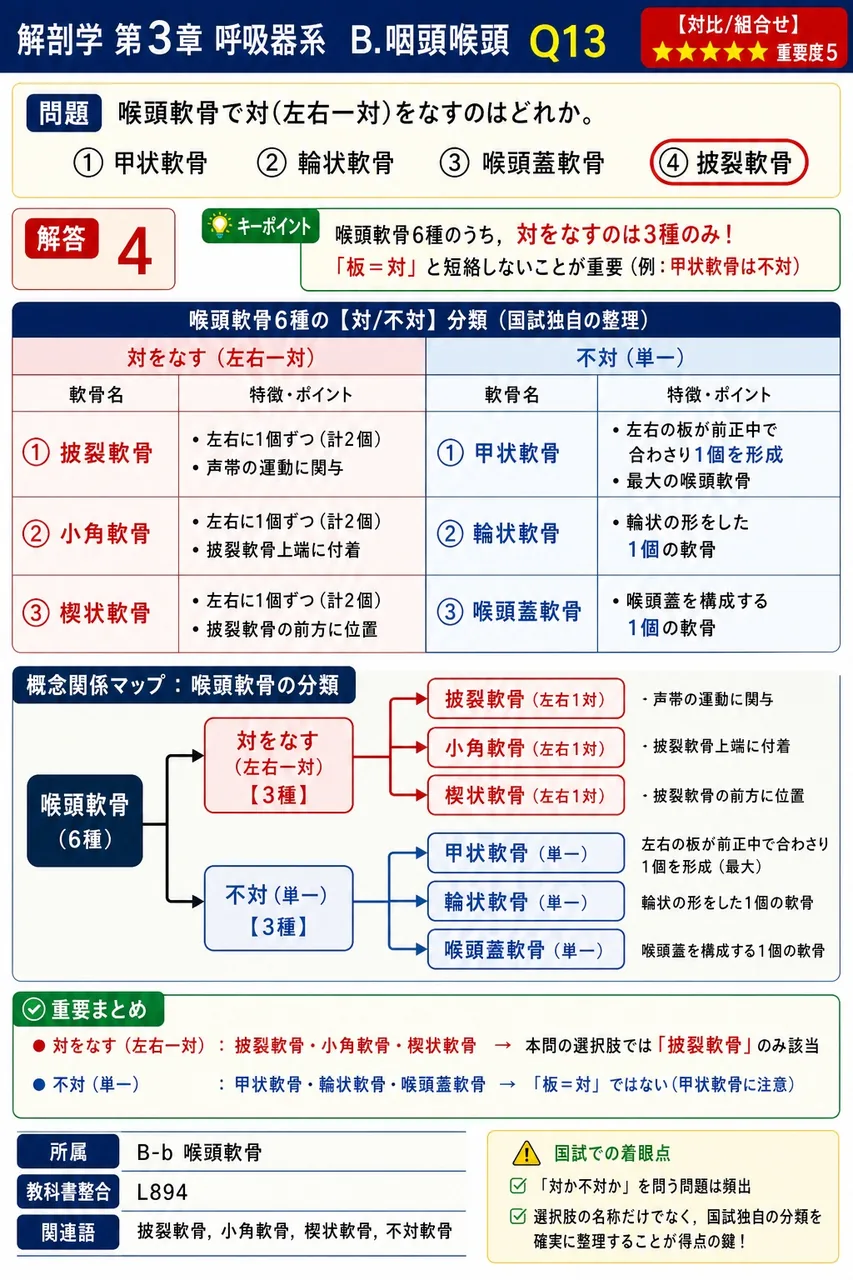 甲状軟骨の裏面から舌状に後上方へ立ち上がる喉頭軟骨はどれか。 解説図