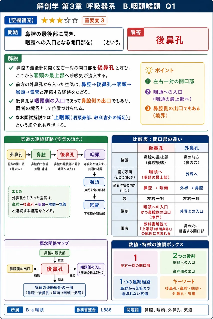 声帯ヒダは内部に声帯靱帯と声帯筋を含み、表面は( )で覆われている。 解説図
