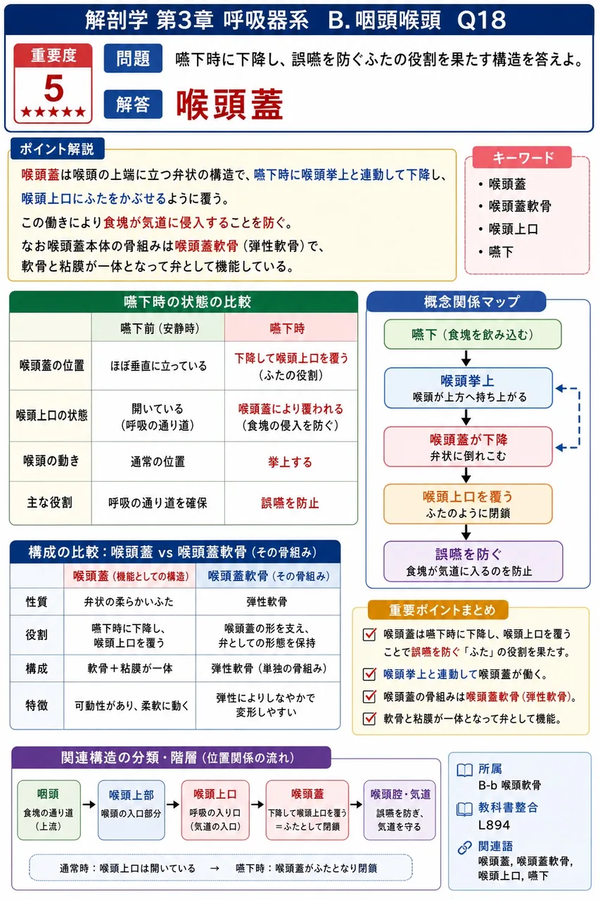 声帯靱帯と声帯筋の前方付着部となる喉頭軟骨はどれか。 解説図