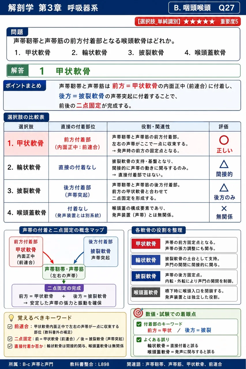 気管切開を行う部位は喉頭より( )で、頸部前面から気管壁を切り開いて気道を確保する。 解説図