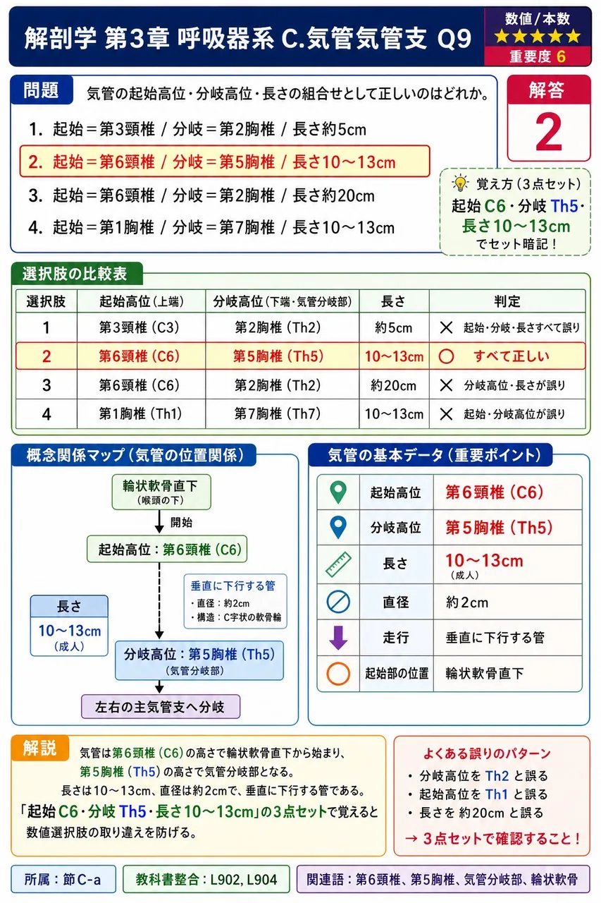 肺の下面にあたり、横隔膜上面に乗って凹面を呈する部分を( )という。 解説図