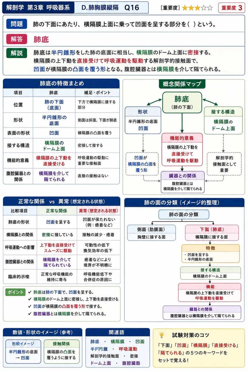 肺静脈について正しいのはどれか。 解説図
