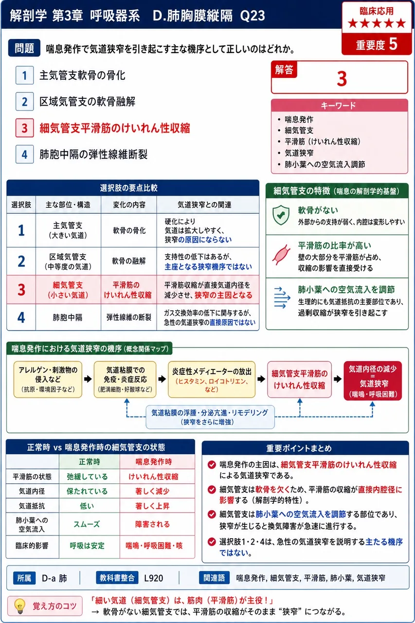 肺の表面を覆う臓側胸膜が、肺門で折れ返って胸郭内面側に連続する胸膜を何というか。 解説図