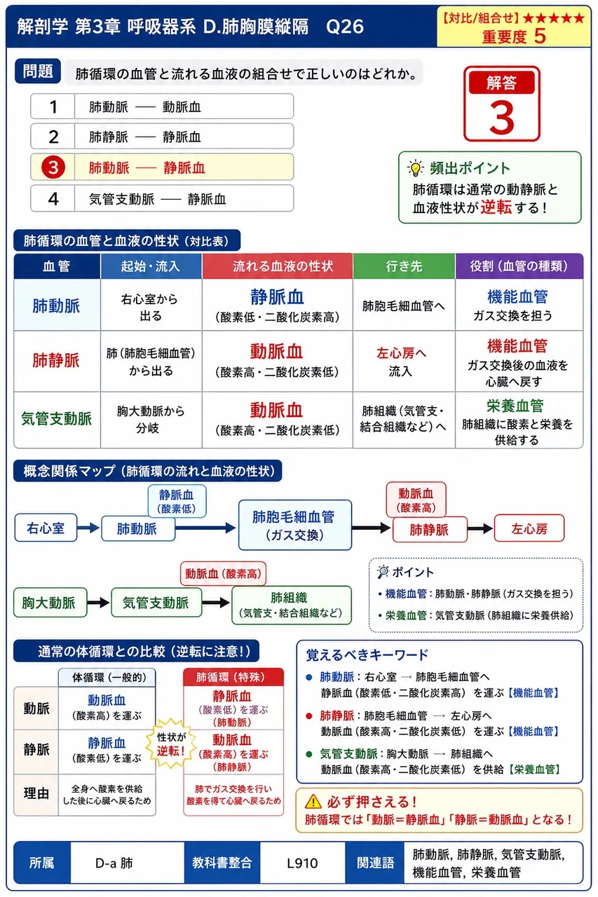 正常時の胸膜腔の圧について正しいのはどれか。 解説図