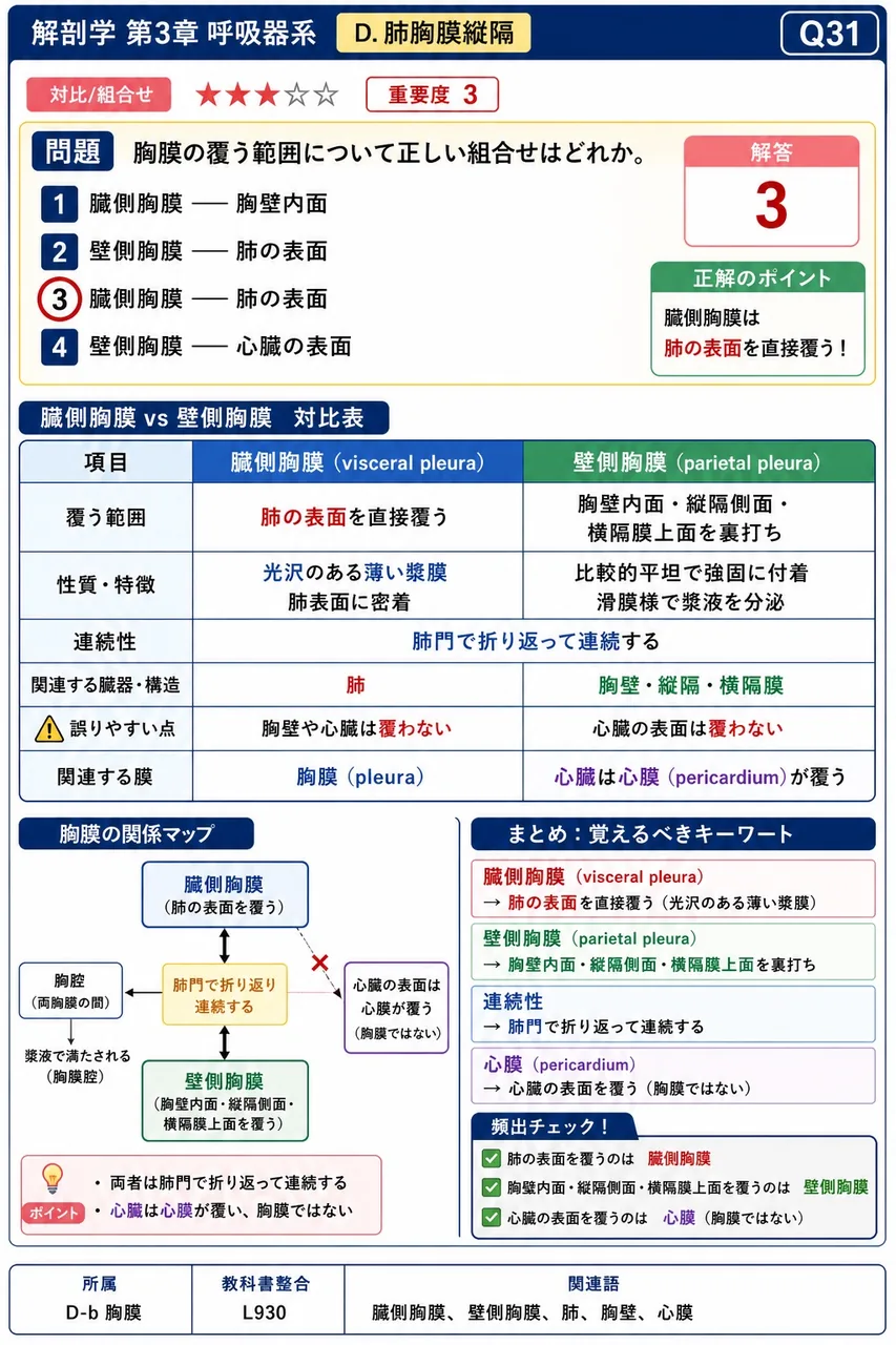 胸膜腔の陰圧の意義として正しいのはどれか。 解説図