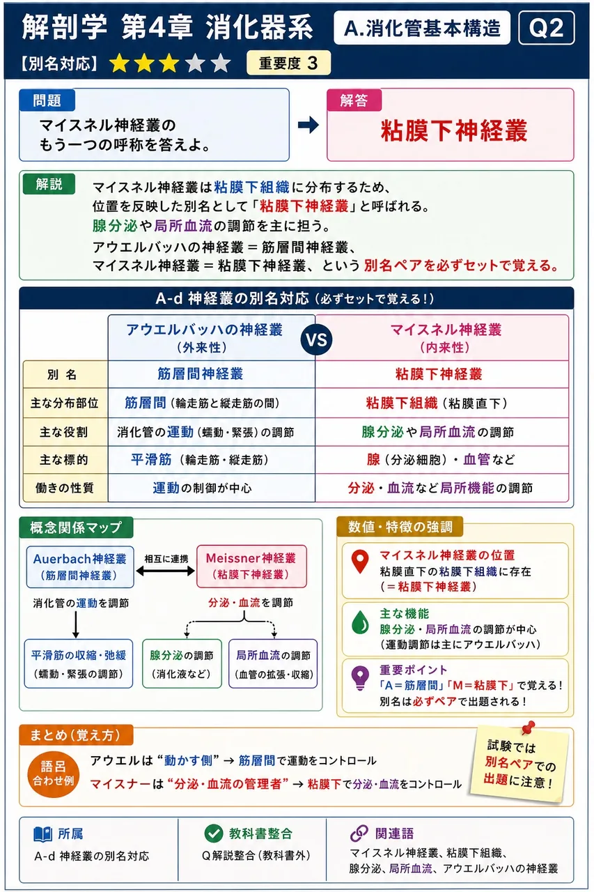 マイスネル神経叢のもう一つの呼称を答えよ。 解説図