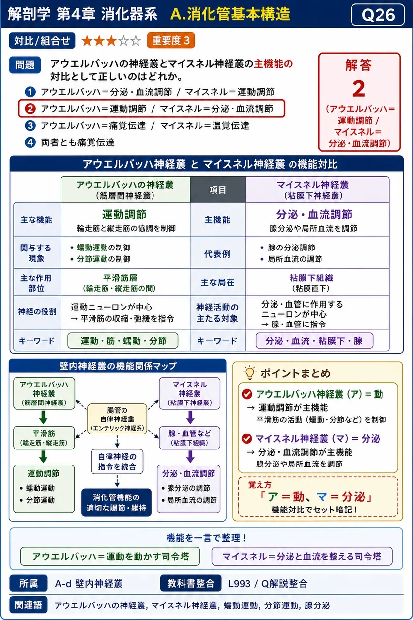アウエルバッハの神経叢とマイスネル神経叢の主機能の対比として正しいのはどれか。 解説図
