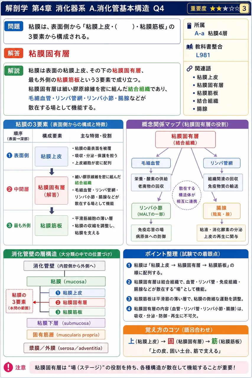 小腸・大腸の粘膜上皮で粘液を分泌する細胞と、その分泌物の組合せとして正しいのはどれか。 解説図