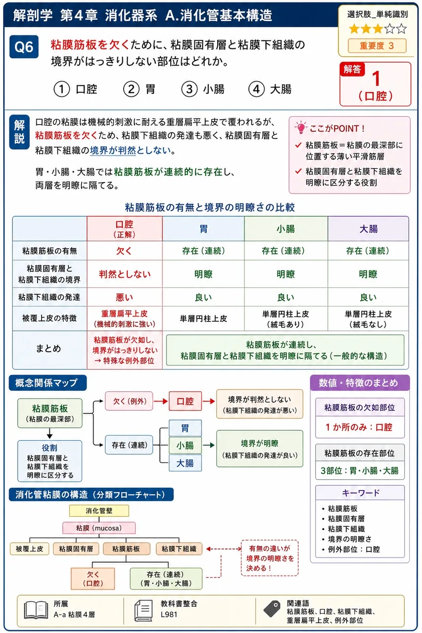 上唇と下唇がつくる口裂より入り、後方で咽頭に移行する消化管の最前部を( )という。 解説図