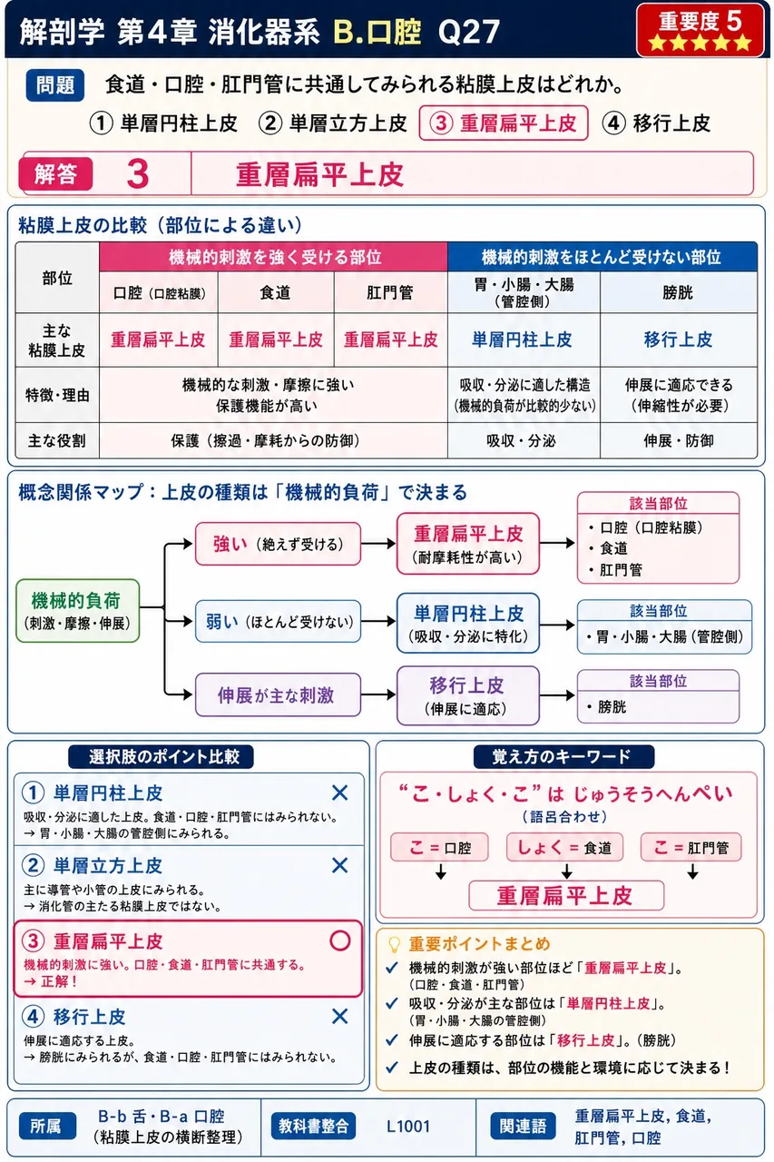 口腔と鼻腔を上下に隔てる構造はどれか。 解説図