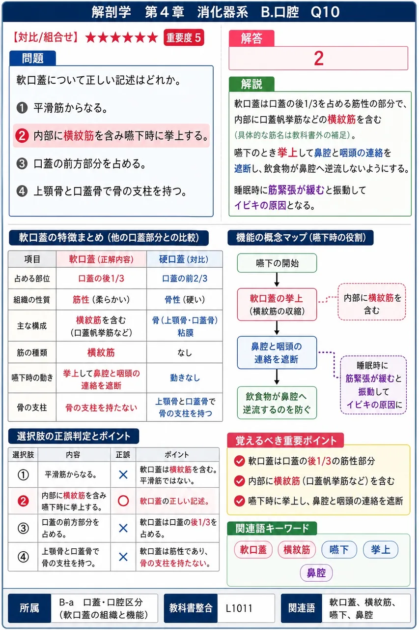 分界溝の前に一列に並ぶ有郭乳頭の個数として正しいのはどれか。 解説図
