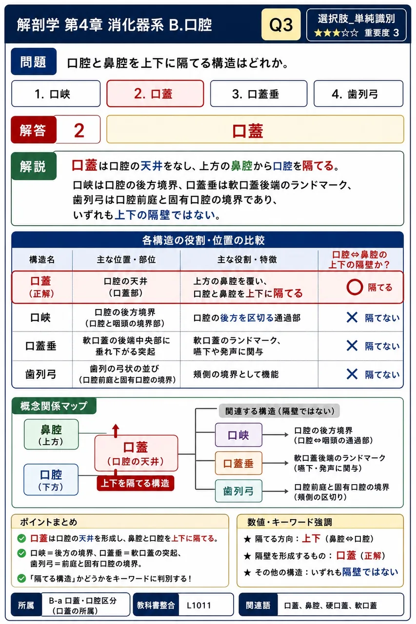 歯の構造に関する記述で正しいのはどれか。 解説図