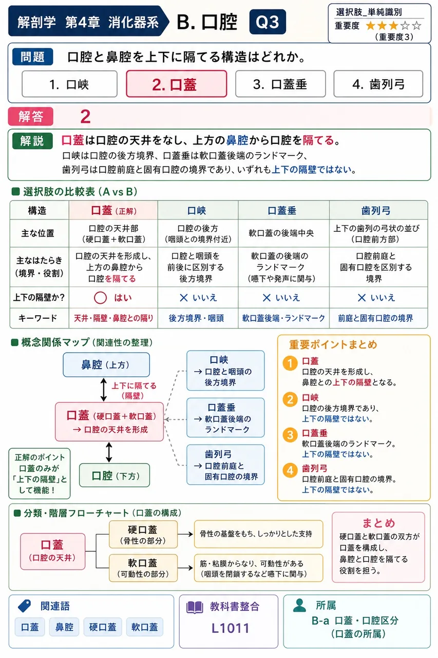歯の主体をなす硬組織で、ゾウゲ質または象牙質と呼ばれるのはどれか。 解説図