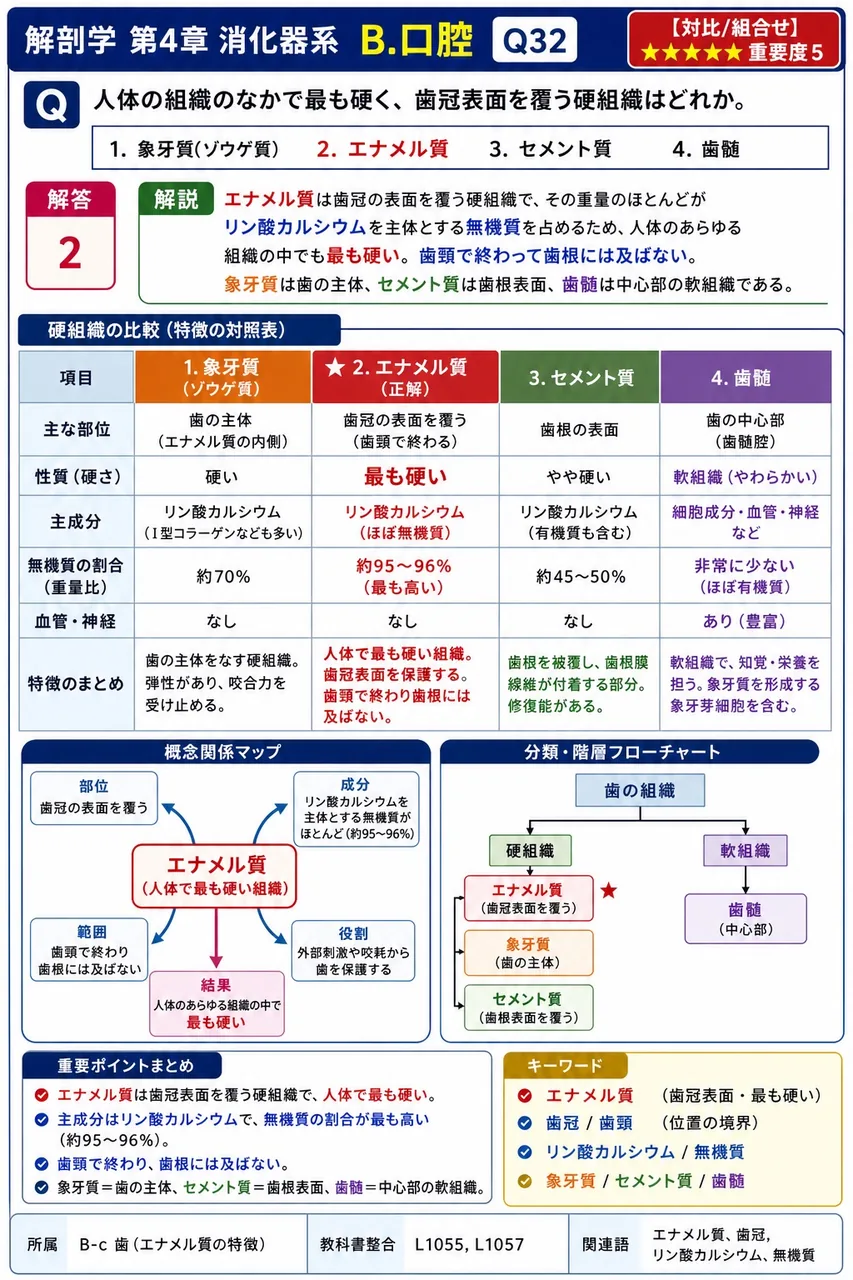 口蓋裂について正しい記述はどれか。 解説図