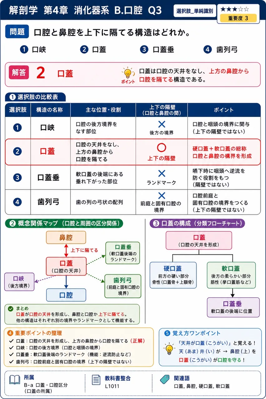 耳下腺の性質として正しいのはどれか。 解説図