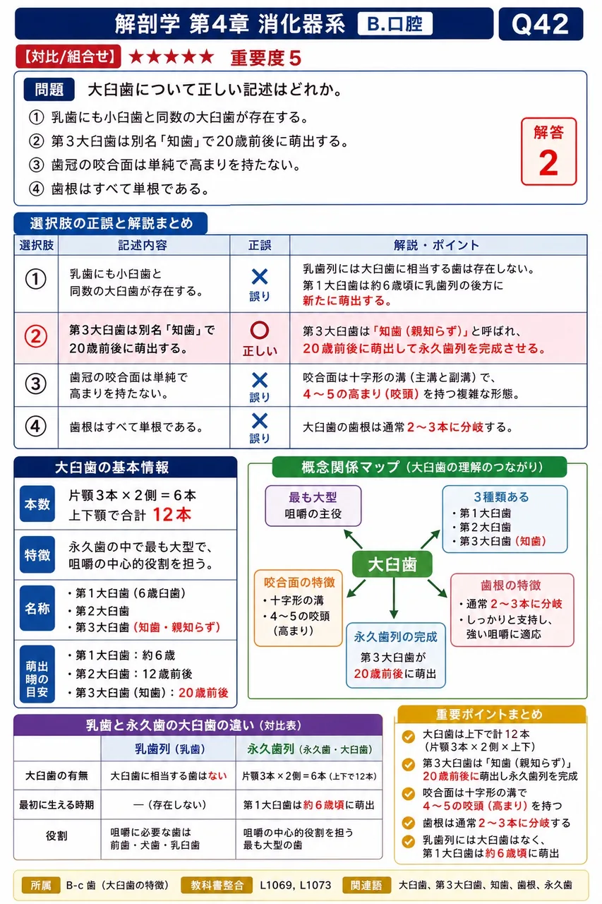 舌下腺について正しい記述はどれか。 解説図