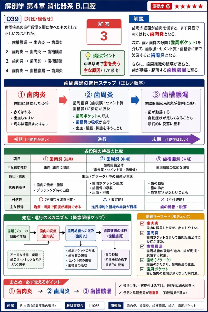 耳下腺がムンプスウイルスにより両側性に腫脹する小児期の代表的疾患を何というか。 解説図