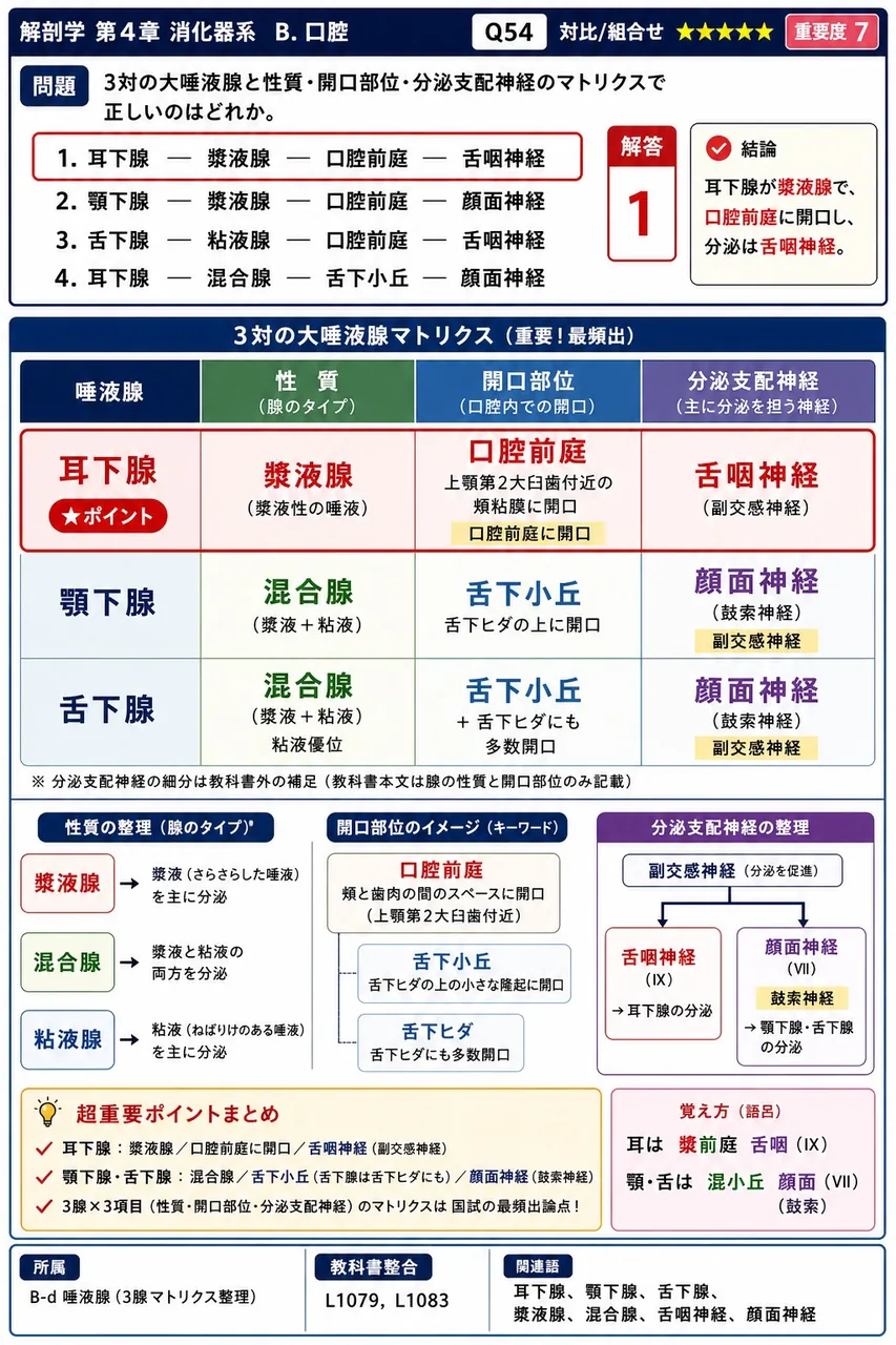 3対の大唾液腺と性質・開口部位・分泌支配神経のマトリクスで正しいのはどれか。 解説図