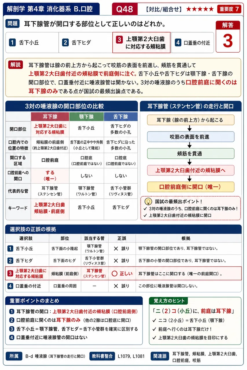 3対の大唾液腺と性質の組合せで正しいのはどれか。 解説図